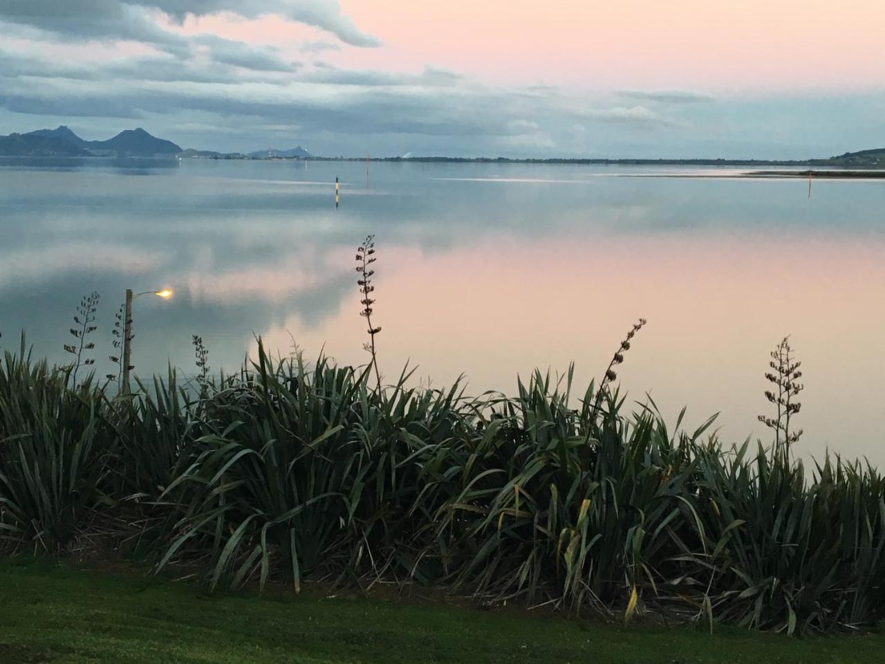 Beach Lane Apartment Whangarei Bagian luar foto